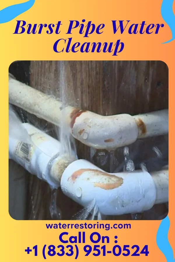 Burst Pipe Water Cleanup in Shelbyville, TN