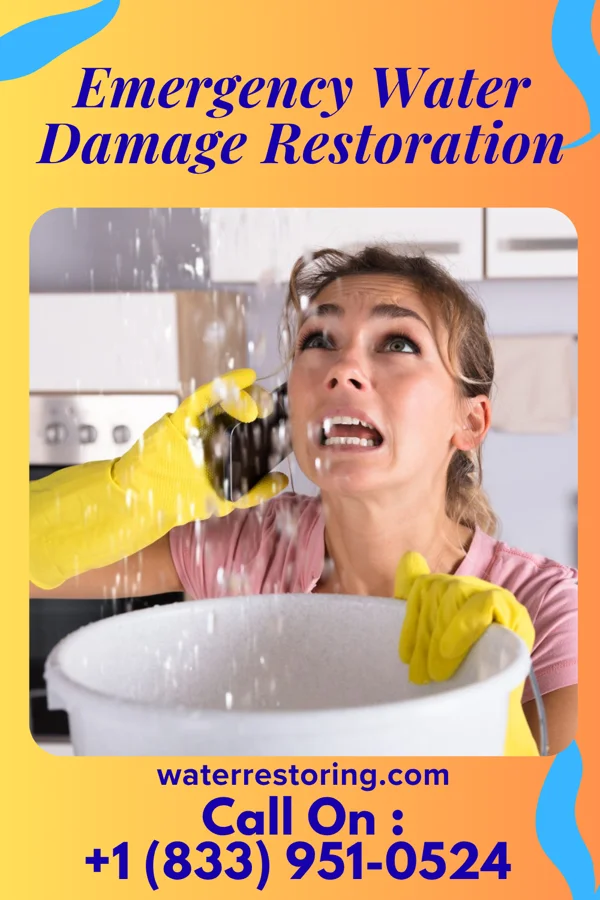 Emergency Water Damage Restoration in Shelbyville, TN