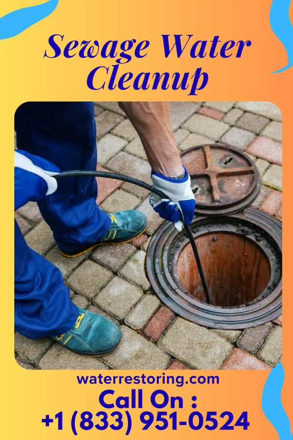 Sewage Water Cleanup in Shelbyville, TN