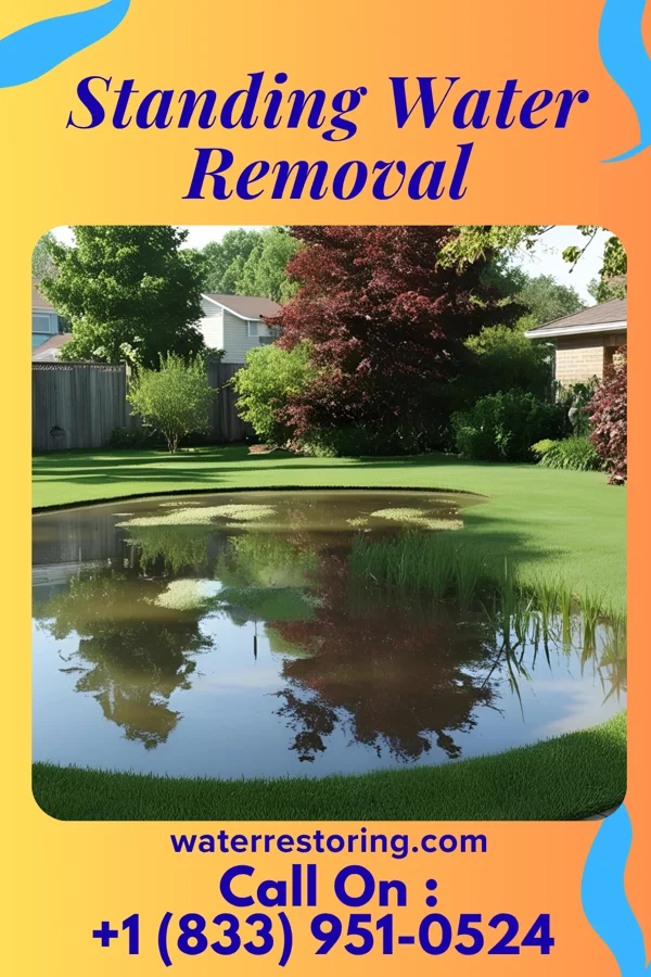 Standing Water Removal in Shelbyville, TN